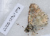  ( - CCDB-17967 E09)  @12 [ ] Copyright (2014) Zoological Institute of the Russian Academy of Science Zoological Institute of the Russian Academy of Science