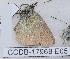  ( - CCDB-17968 E05)  @12 [ ] Copyright (2014) Zoological Institute of the Russian Academy of Science Zoological Institute of the Russian Academy of Science