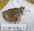  ( - CCDB-25450 A12)  @12 [ ] Copyright (2015) Zoological Institute of the Russian Academy of Science Zoological Institute of the Russian Academy of Science