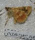  ( - CCDB-25451 F08)  @12 [ ] Copyright (2015) Zoological Institute of the Russian Academy of Science Zoological Institute of the Russian Academy of Science
