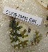  ( - CCDB-25452 C04)  @11 [ ] Copyright (2016) Zoological Institute of the Russian Academy of Science Zoological Institute of the Russian Academy of Science