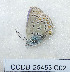  ( - CCDB-25453 C02)  @11 [ ] Copyright (2016) Zoological Institute of the Russian Academy of Science Zoological Institute of the Russian Academy of Science