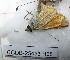  ( - CCDB-25453 H05)  @12 [ ] Copyright (2016) Zoological Institute of the Russian Academy of Science Zoological Institute of the Russian Academy of Science