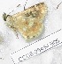  ( - CCDB-25454 B06)  @12 [ ] Copyright (2016) Zoological Institute of the Russian Academy of Science Zoological Institute of the Russian Academy of Science