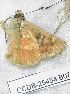  ( - CCDB-25454 B07)  @12 [ ] Copyright (2016) Zoological Institute of the Russian Academy of Science Zoological Institute of the Russian Academy of Science