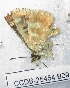  ( - CCDB-25454 B09)  @12 [ ] Copyright (2016) Zoological Institute of the Russian Academy of Science Zoological Institute of the Russian Academy of Science
