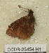  ( - CCDB-25454 H11)  @11 [ ] Copyright (2016) Zoological Institute of the Russian Academy of Science Zoological Institute of the Russian Academy of Science