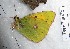  ( - CCDB-25455 D09)  @12 [ ] Copyright (2016) Zoological Institute of the Russian Academy of Science Zoological Institute of the Russian Academy of Science