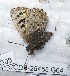  ( - CCDB-25455 G04)  @12 [ ] Copyright (2016) Zoological Institute of the Russian Academy of Science Zoological Institute of the Russian Academy of Science