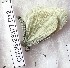  ( - CCDB-23377 D12)  @12 [ ] Copyright (2018) Zoological Institute of the Russian Academy of Science Zoological Institute of the Russian Academy of Science