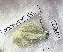  ( - CCDB-23377 E01)  @12 [ ] Copyright (2018) Zoological Institute of the Russian Academy of Science Zoological Institute of the Russian Academy of Science