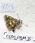  ( - CCDB-23846 G01)  @12 [ ] Copyright (2018) Zoological Institute of the Russian Academy of Science Zoological Institute of the Russian Academy of Science