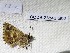  ( - CCDB-23846 G02)  @12 [ ] Copyright (2018) Zoological Institute of the Russian Academy of Science Zoological Institute of the Russian Academy of Science
