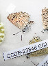  ( - CCDB-23848 E02)  @11 [ ] Copyright (2018) Zoological Institute of the Russian Academy of Science Zoological Institute of the Russian Academy of Science