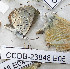  ( - CCDB-23848 E05)  @11 [ ] Copyright (2018) Zoological Institute of the Russian Academy of Science Zoological Institute of the Russian Academy of Science