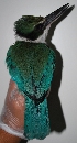  ( - UPD56)  @15 [ ] Copyright (2010) A. Luczon 2010 Unspecified