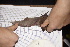 ( - 20120811_167)  @11 [ ] CreativeCommons - Attribution Non-Commercial  Unspecified Smithonian Tropical Institute