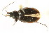  ( - 08BBCOL-0866)  @13 [ ] CreativeCommons - Attribution (2010) CBG Photography Group Centre for Biodiversity Genomics