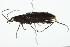  ( - 08BBCOL-0866)  @12 [ ] CreativeCommons - Attribution (2010) CBG Photography Group Centre for Biodiversity Genomics