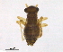  ( - BIOUG16752-B04)  @12 [ ] CreativeCommons - Attribution (2014) CBG Photography Group Centre for Biodiversity Genomics