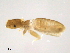  ( - BIOUG16752-D07)  @11 [ ] CreativeCommons - Attribution (2014) CBG Photography Group Centre for Biodiversity Genomics