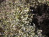  ( - CRUBST50-002)  @11 [ ] Copyright (2015) Cintia Souto Laboratorio Ecotono - CRUB- UNC