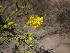  ( - CRUBST40-1012)  @11 [ ] Copyright (2042) Cintia Souto Laboratorio Ecotono - CRUB- UNC
