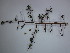  ( - CRUBST80-001)  @11 [ ] Copyright (2022) Cintia Souto Laboratorio Ecotono - CRUB- UNC