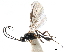  ( - NMS:Godfray:KPB-7568)  @12 [ ] CreativeCommons - Attribution (2015) CBG Photography Group Centre for Biodiversity Genomics