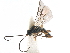  ( - NMS:Godfray:KPB-9137)  @12 [ ] CreativeCommons - Attribution (2015) CBG Photography Group Centre for Biodiversity Genomics