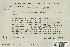  ( - CCDB-25691-A04)  @11 [ ] CreativeCommons - Attribution Non-Commercial Share-Alike (2018) Masha L. Kuzmina Canadian Centre for DNA Barcoding