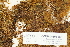  ( - CCDB-25691-B01)  @11 [ ] CreativeCommons - Attribution Non-Commercial Share-Alike (2018) Masha L. Kuzmina Canadian Centre for DNA Barcoding
