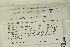 ( - CCDB-25691-B01)  @11 [ ] CreativeCommons - Attribution Non-Commercial Share-Alike (2018) Masha L. Kuzmina Canadian Centre for DNA Barcoding