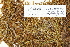  ( - CCDB-25691-B04)  @11 [ ] CreativeCommons - Attribution Non-Commercial Share-Alike (2018) Masha L. Kuzmina Canadian Centre for DNA Barcoding