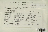  ( - CCDB-25691-B04)  @11 [ ] CreativeCommons - Attribution Non-Commercial Share-Alike (2018) Masha L. Kuzmina Canadian Centre for DNA Barcoding