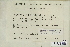  ( - CCDB-25691-D05)  @11 [ ] CreativeCommons - Attribution Non-Commercial Share-Alike (2018) Masha L. Kuzmina Canadian Centre for DNA Barcoding