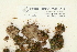  ( - CCDB-25691-D11)  @11 [ ] CreativeCommons - Attribution Non-Commercial Share-Alike (2018) Masha L. Kuzmina Canadian Centre for DNA Barcoding