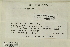  ( - CCDB-25691-D11)  @11 [ ] CreativeCommons - Attribution Non-Commercial Share-Alike (2018) Masha L. Kuzmina Canadian Centre for DNA Barcoding