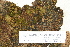  ( - CCDB-25691-E11)  @11 [ ] CreativeCommons - Attribution Non-Commercial Share-Alike (2018) Masha L. Kuzmina Canadian Centre for DNA Barcoding
