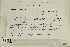  ( - CCDB-25691-E11)  @11 [ ] CreativeCommons - Attribution Non-Commercial Share-Alike (2018) Masha L. Kuzmina Canadian Centre for DNA Barcoding