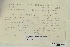  ( - CCDB-25691-E12)  @11 [ ] CreativeCommons - Attribution Non-Commercial Share-Alike (2018) Masha L. Kuzmina Canadian Centre for DNA Barcoding