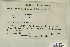  ( - CCDB-25691-F02)  @11 [ ] CreativeCommons - Attribution Non-Commercial Share-Alike (2018) Masha L. Kuzmina Canadian Centre for DNA Barcoding