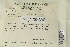  ( - CCDB-25692-A04)  @11 [ ] CreativeCommons - Attribution Non-Commercial Share-Alike (2018) Masha L. Kuzmina Canadian Centre for DNA Barcoding
