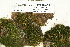  ( - CCDB-25692-A05)  @11 [ ] CreativeCommons - Attribution Non-Commercial Share-Alike (2018) Masha L. Kuzmina Canadian Centre for DNA Barcoding