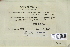  ( - CCDB-25692-A05)  @11 [ ] CreativeCommons - Attribution Non-Commercial Share-Alike (2018) Masha L. Kuzmina Canadian Centre for DNA Barcoding