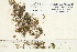  ( - CCDB-25692-A08)  @11 [ ] CreativeCommons - Attribution Non-Commercial Share-Alike (2018) Masha L. Kuzmina Canadian Centre for DNA Barcoding