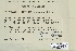  ( - CCDB-25692-A08)  @11 [ ] CreativeCommons - Attribution Non-Commercial Share-Alike (2018) Masha L. Kuzmina Canadian Centre for DNA Barcoding