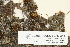  ( - CCDB-25692-A10)  @11 [ ] CreativeCommons - Attribution Non-Commercial Share-Alike (2018) Masha L. Kuzmina Canadian Centre for DNA Barcoding
