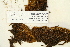  ( - CCDB-25692-B05)  @11 [ ] CreativeCommons - Attribution Non-Commercial Share-Alike (2018) Masha L. Kuzmina Canadian Centre for DNA Barcoding