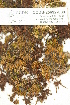  ( - CCDB-25692-C09)  @11 [ ] CreativeCommons - Attribution Non-Commercial Share-Alike (2018) Masha L. Kuzmina Canadian Centre for DNA Barcoding